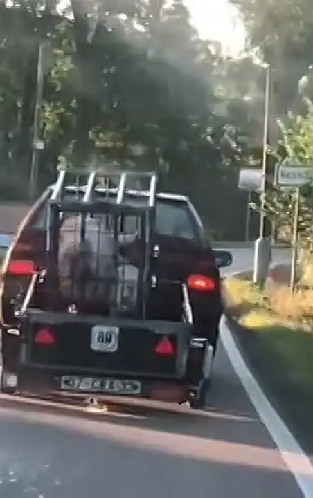 Обложка видео