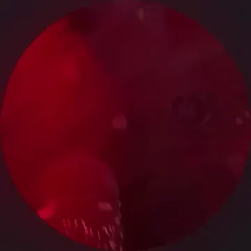 Обложка видео