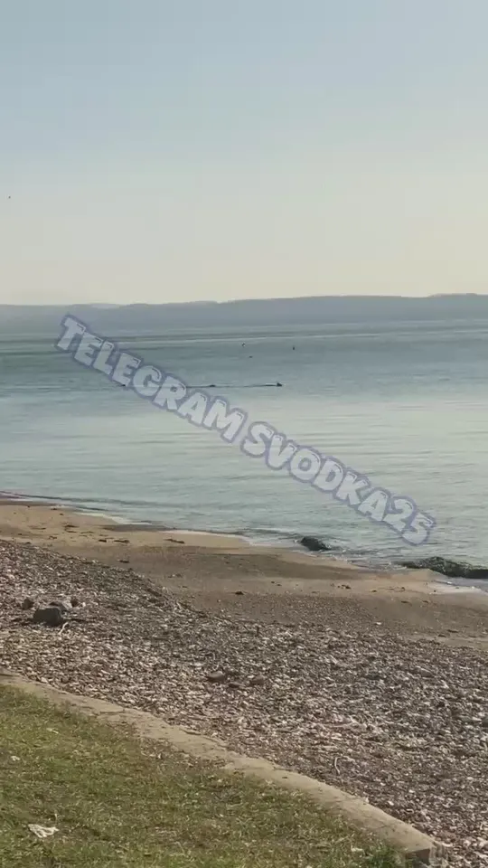 Обложка видео