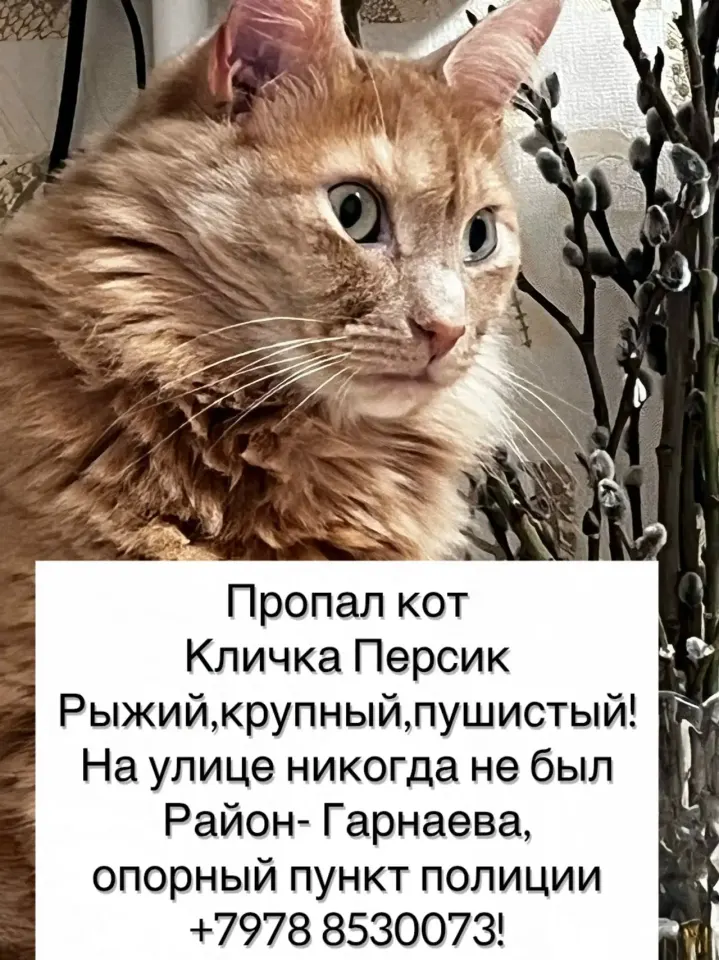 Фото из поста