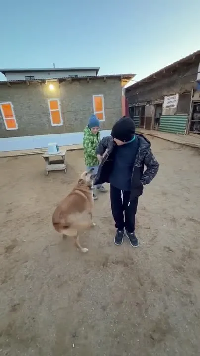 Обложка видео
