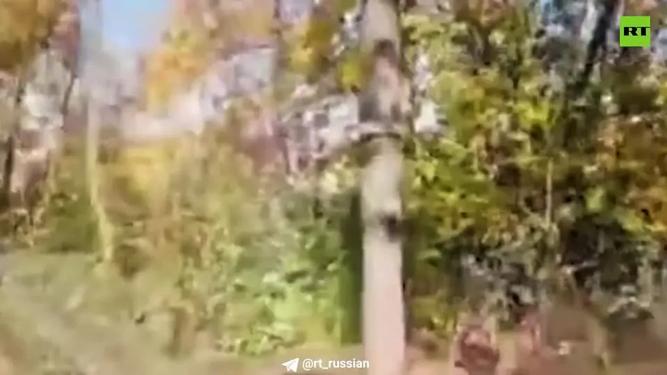 Обложка видео