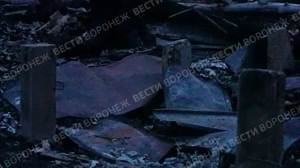 Фото из поста