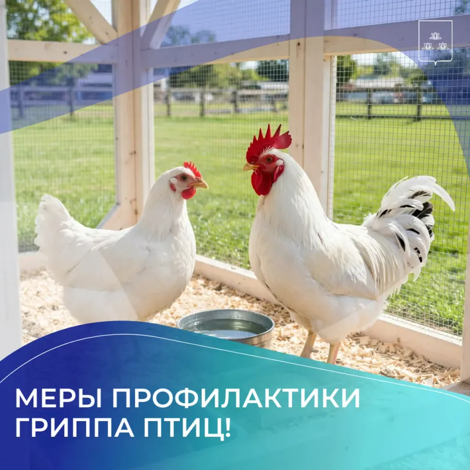 Фото из поста