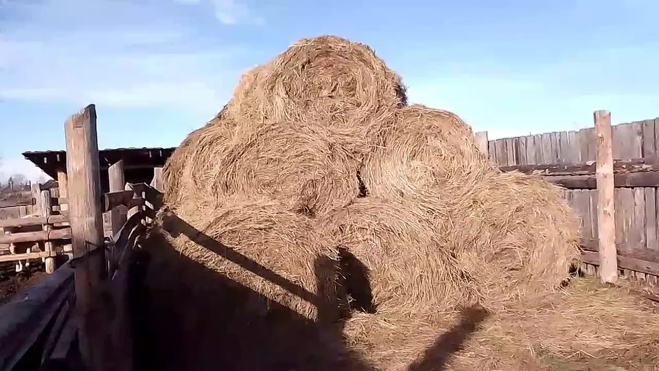 Обложка видео