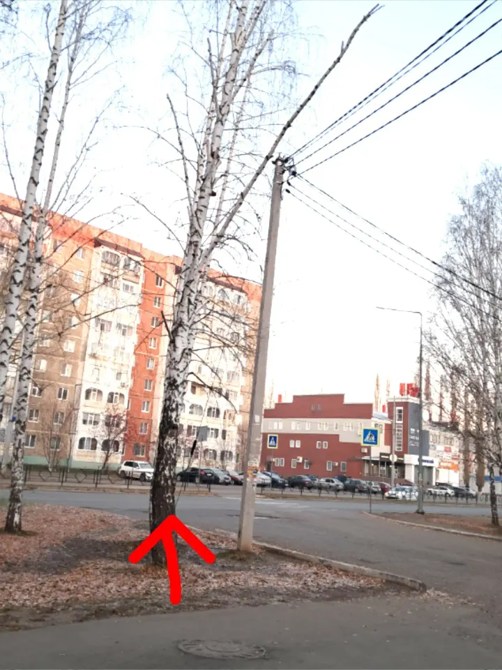 Фото из поста