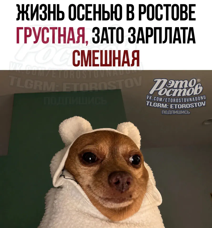 Фото из поста