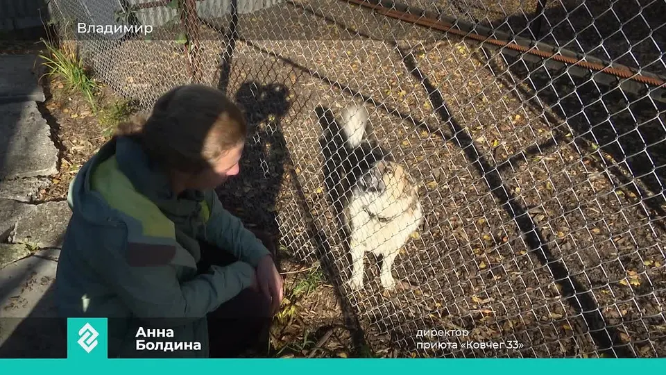 Обложка видео