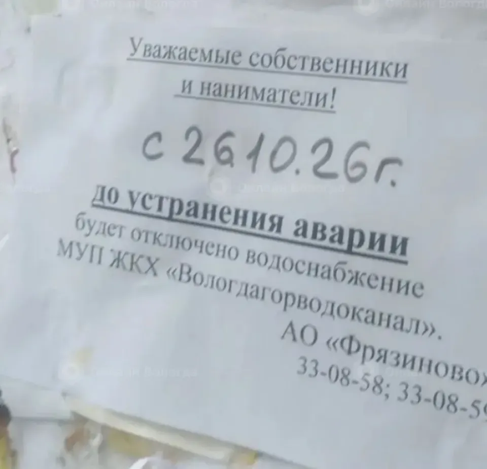 Фото из поста