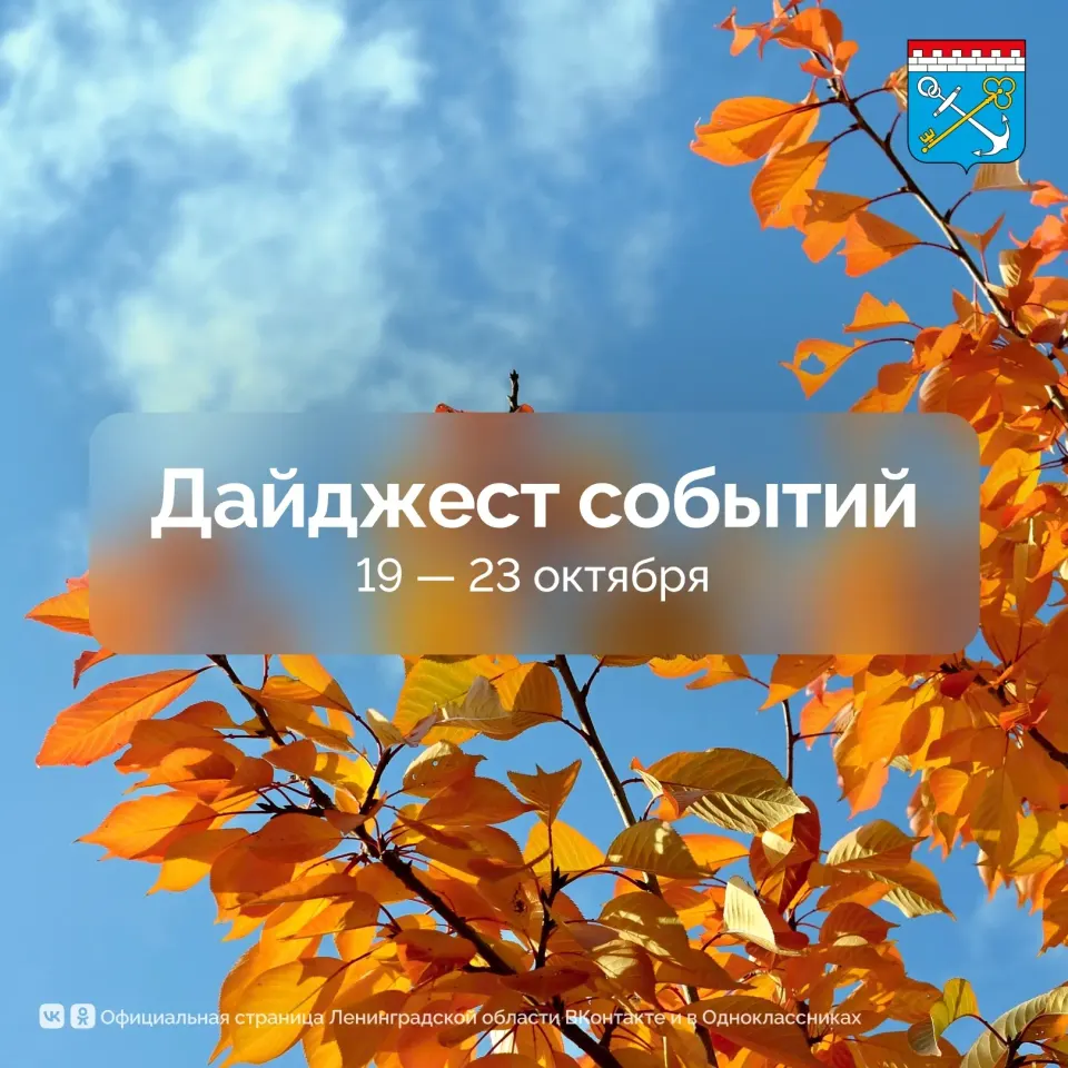 Фото из поста