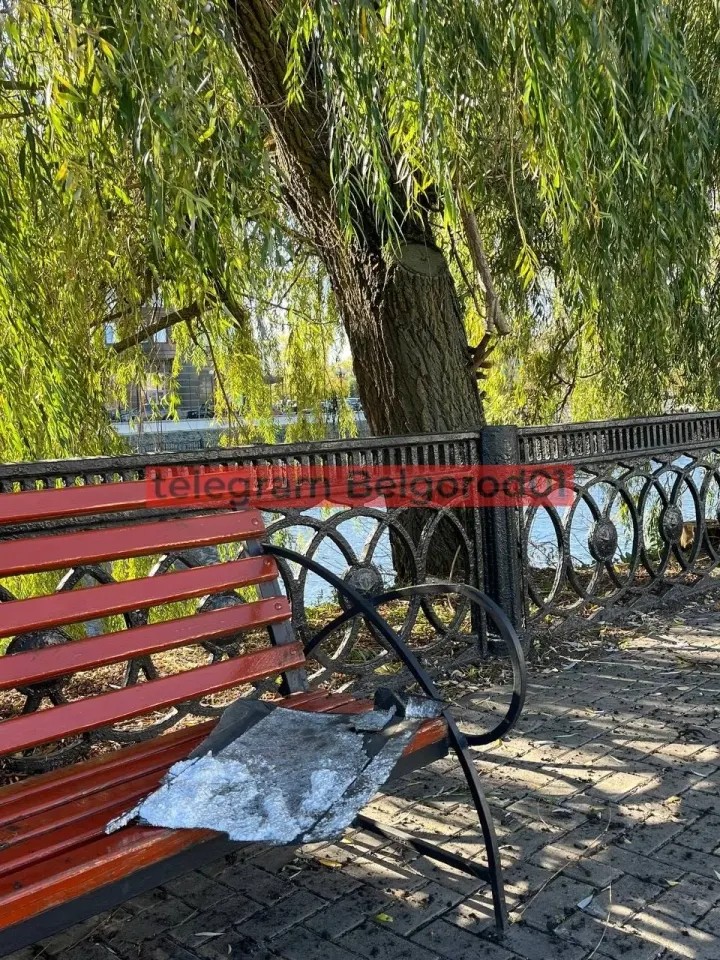 Фото из поста