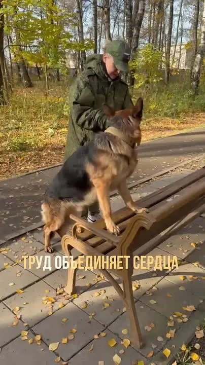 Обложка видео