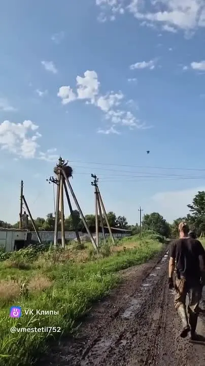 Обложка видео