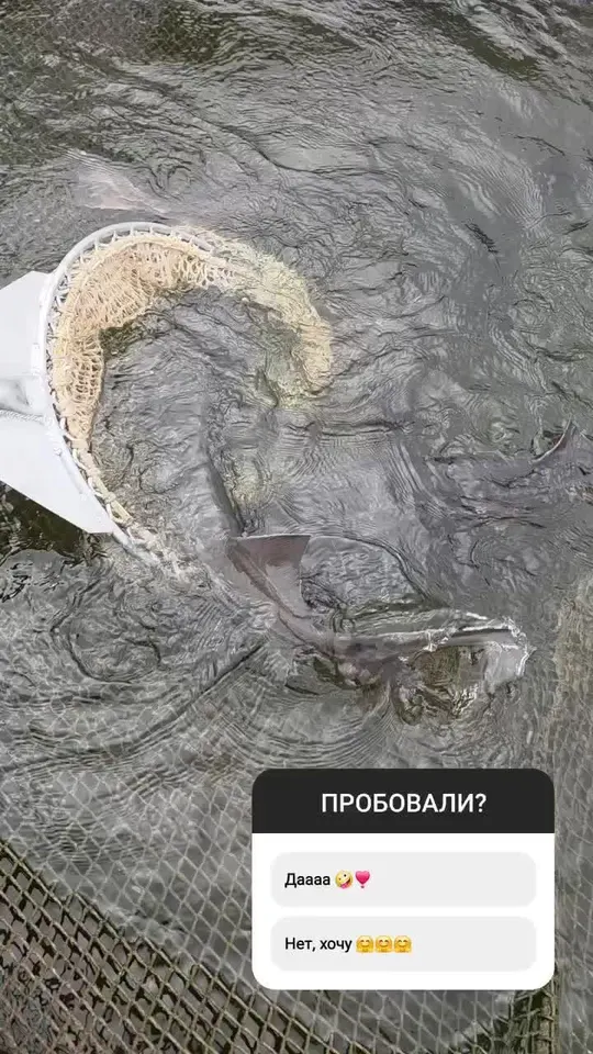 Обложка видео