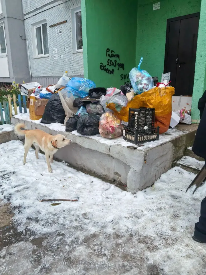 Фото из поста