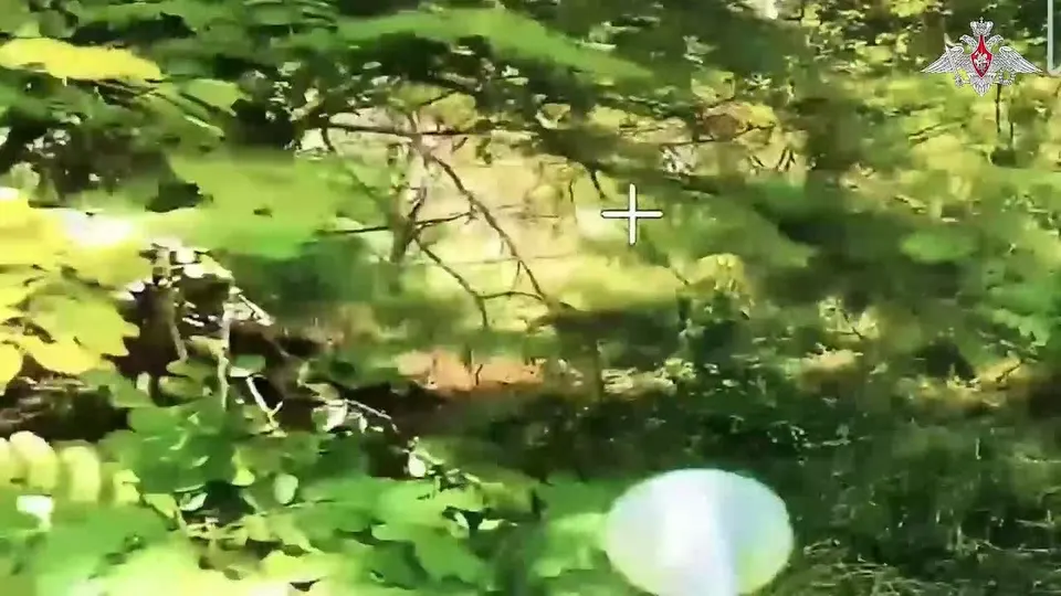 Обложка видео