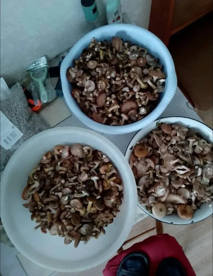 Фото из поста
