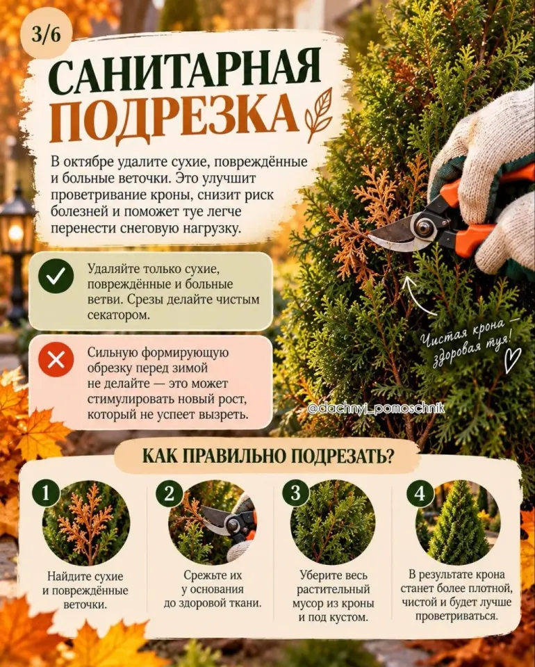 Фото из поста