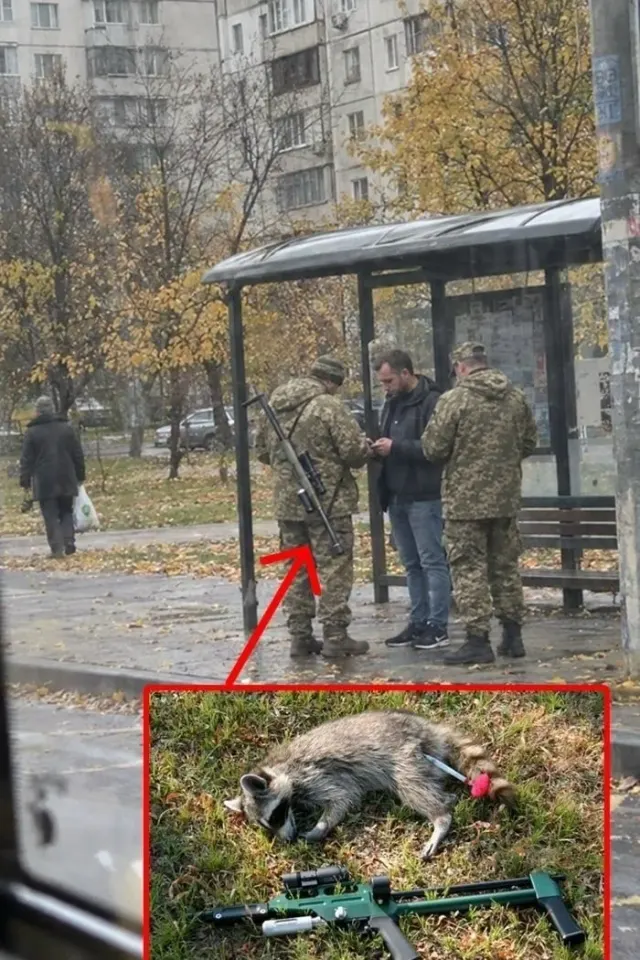 Фото из поста
