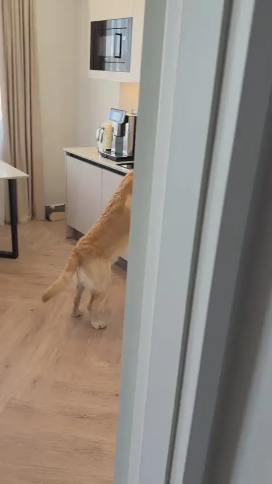 Обложка видео