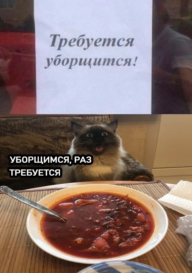 Фото из поста