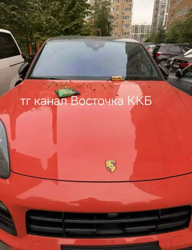 Фото из поста