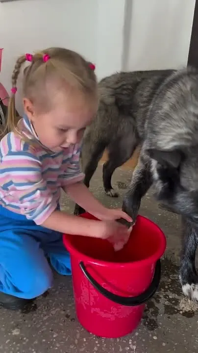 Обложка видео