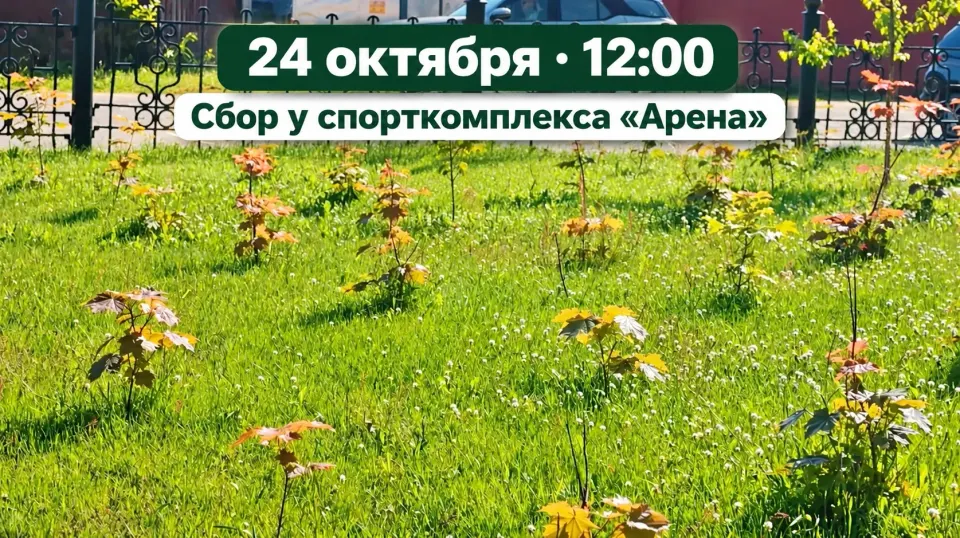 Фото из поста