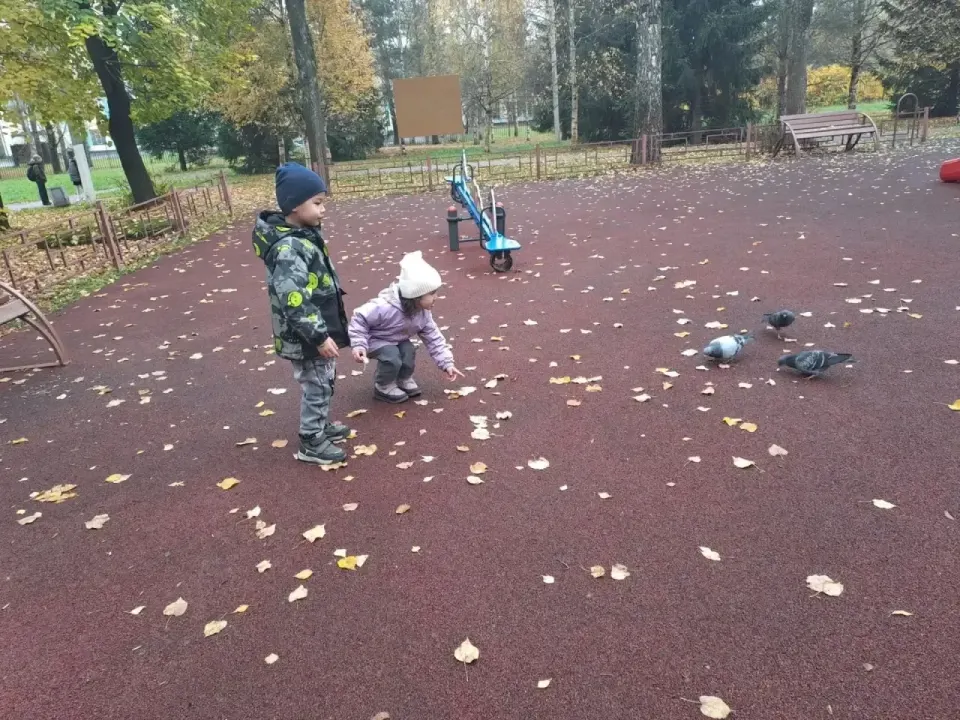 Фото из поста
