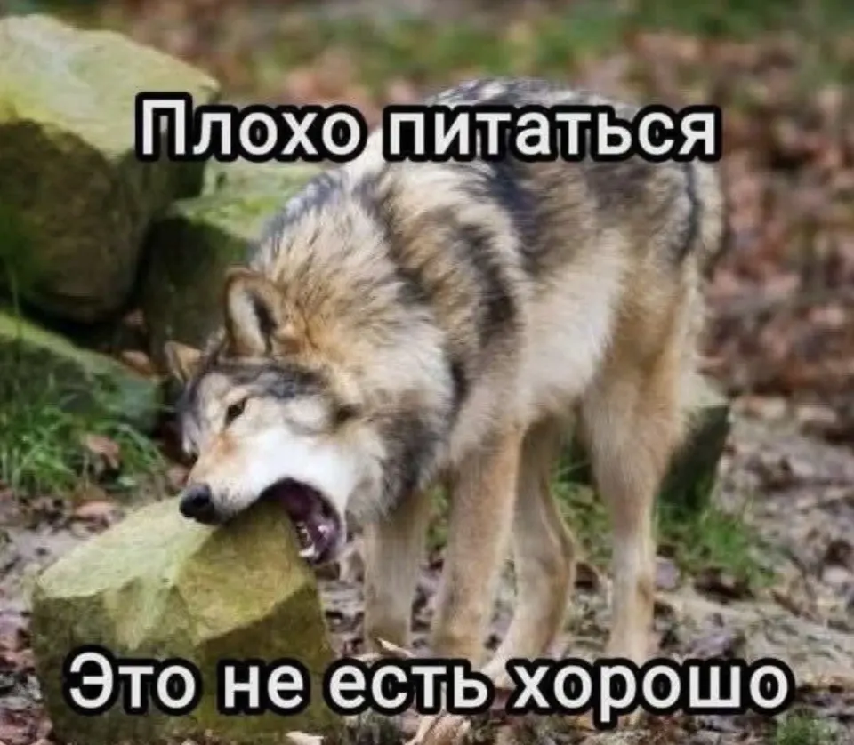 Фото из поста