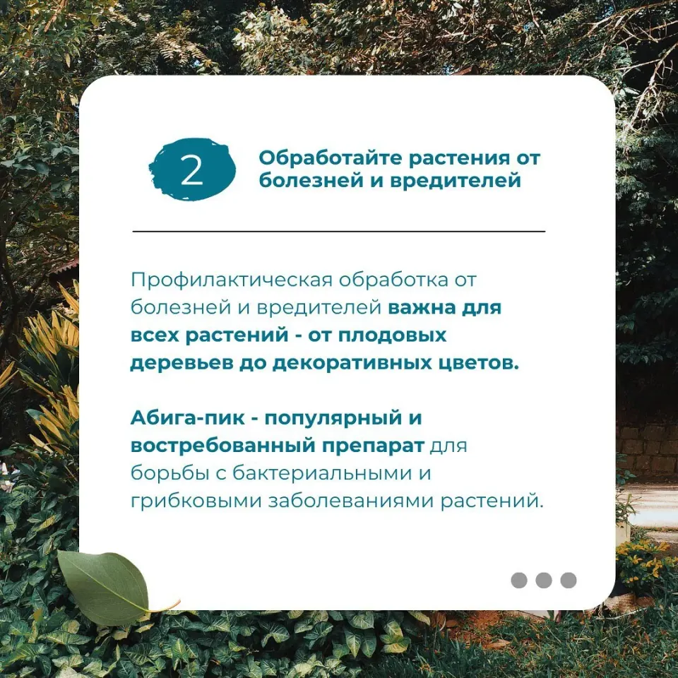 Фото из поста
