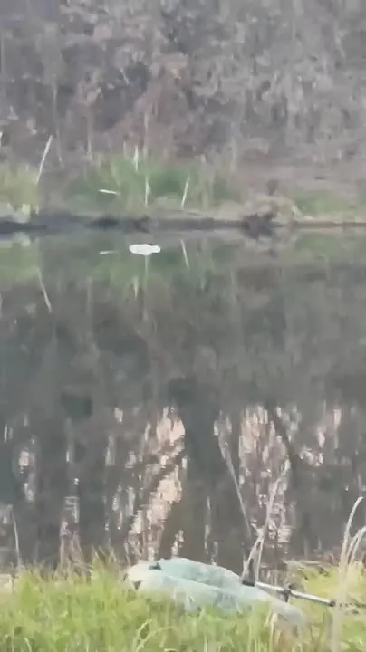 Обложка видео