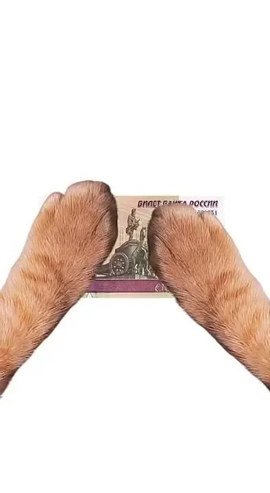Обложка видео