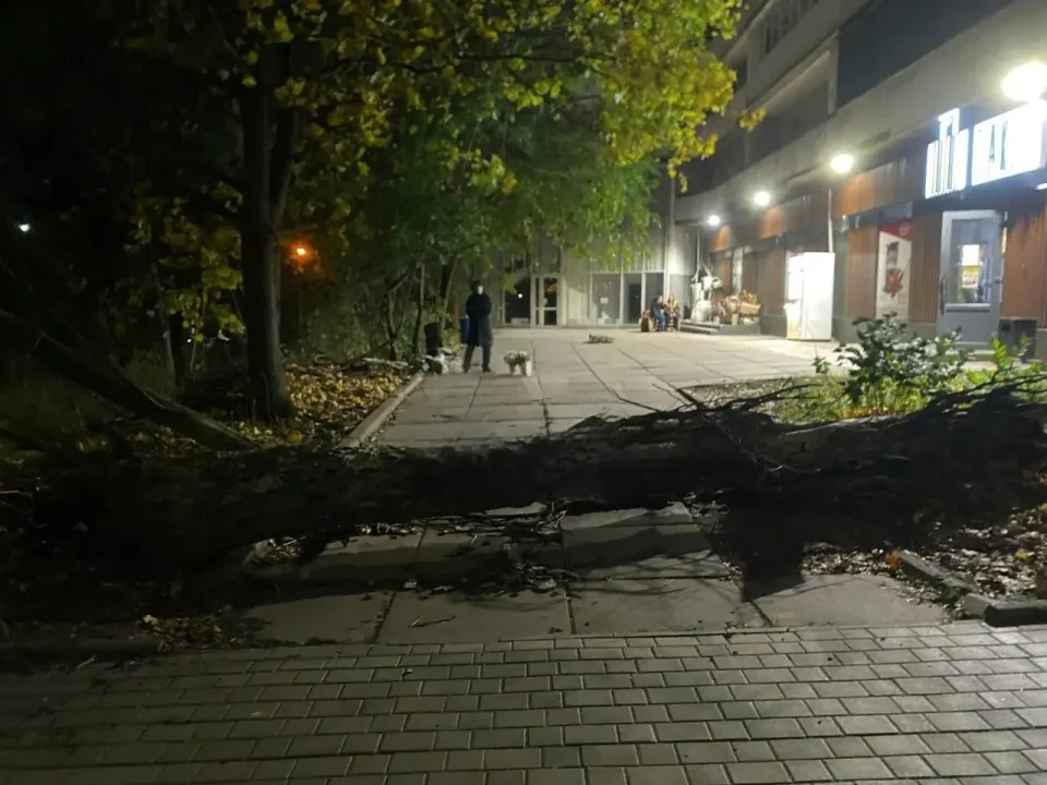 Фото из поста