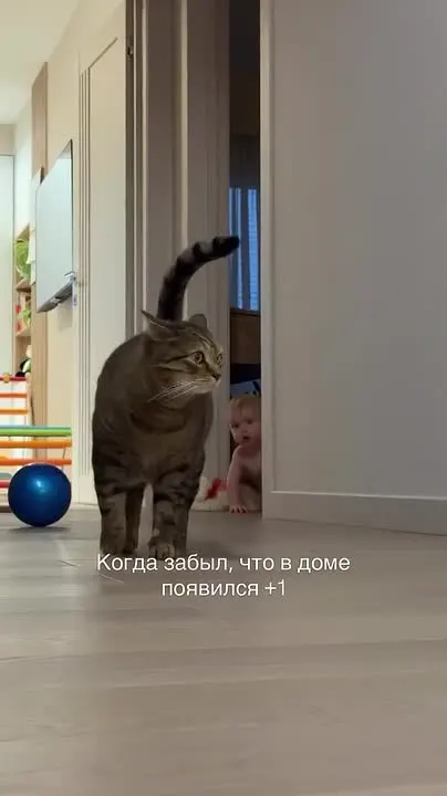 Обложка видео