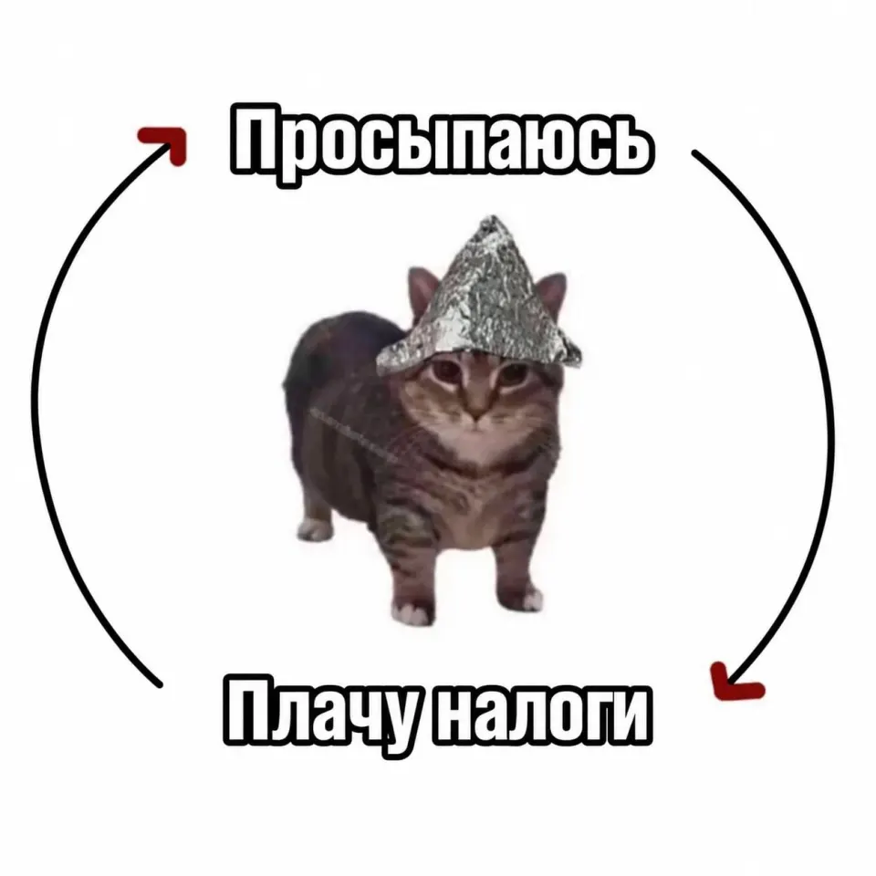 Фото из поста