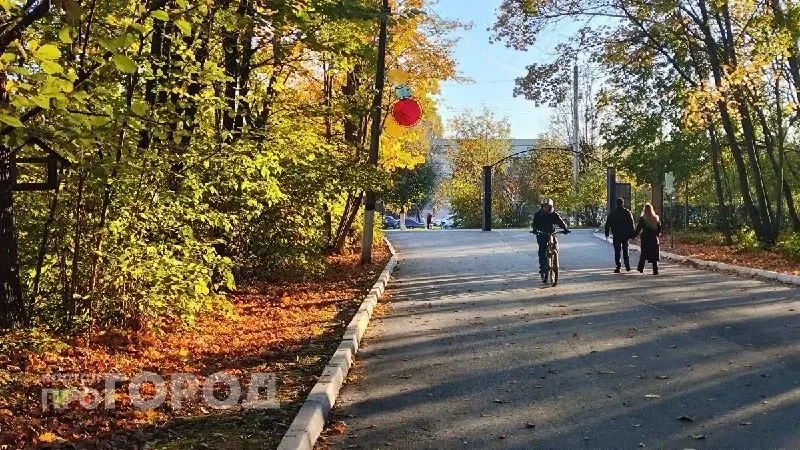 Фото из поста