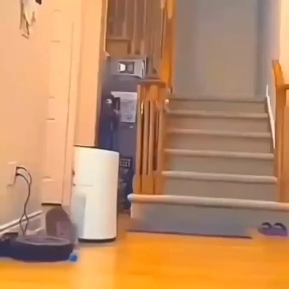 Обложка видео