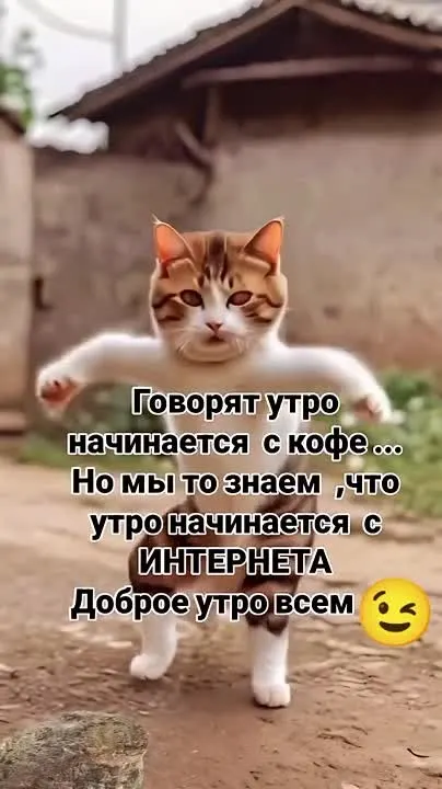 Обложка видео