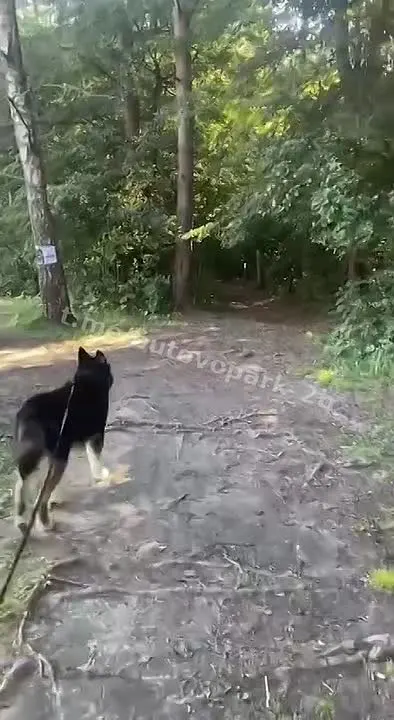 Обложка видео