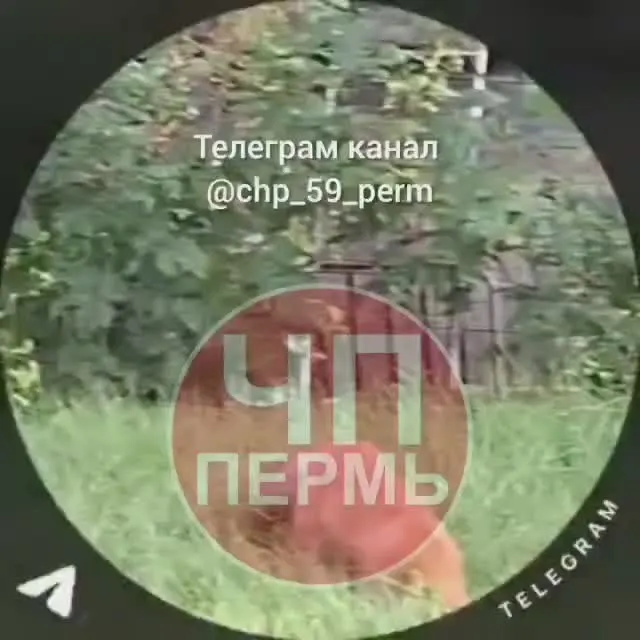 Обложка видео