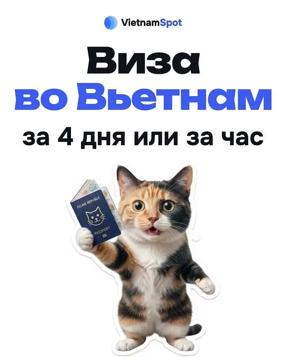 Обложка видео