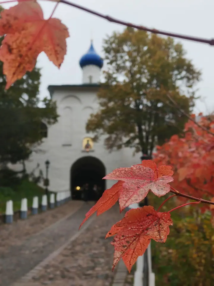 Фото из поста