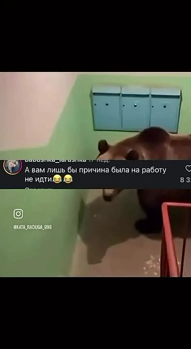 Обложка видео