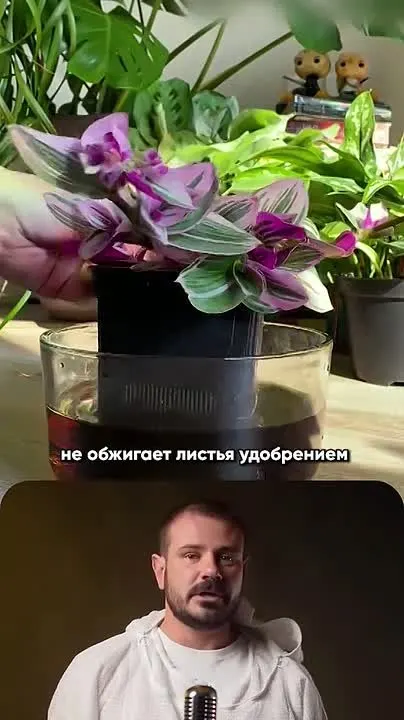 Обложка видео