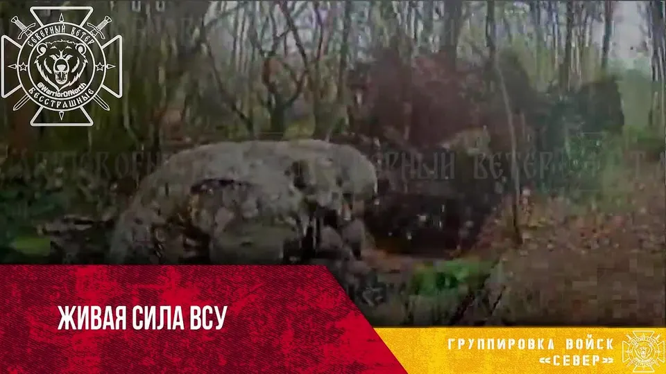 Обложка видео