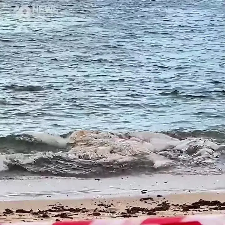 Обложка видео