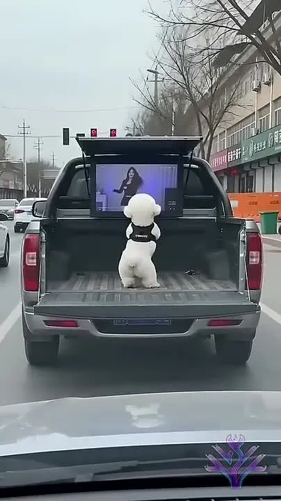 Обложка видео