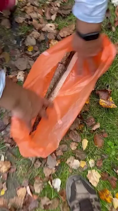 Обложка видео