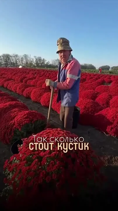 Обложка видео